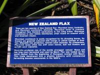 Albums/20060200-New Zealand 2006/20060314-Dunedin/33